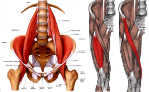 hip-flexors