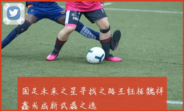 国足未来之星寻找之路王钰栋魏祥鑫或成新武磊之选
